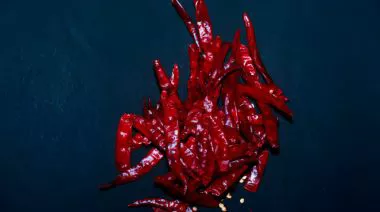garnishing-instructions-image